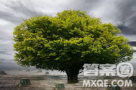 是金子在哪里都会发光作文800字 是金子在哪里都会发光作文 是金子在哪里都会发光作文800字 是金子在哪里都会发光作文