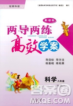 教科版2019年新课标两导两练高效学案六年级下科学参考答案 教科版2019年新课标两导两练高效学案六年级下科学参考答案
