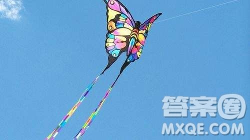 蝴蝶风筝蜜蜂材料作文800字 蝴蝶风筝蜜蜂作文800字