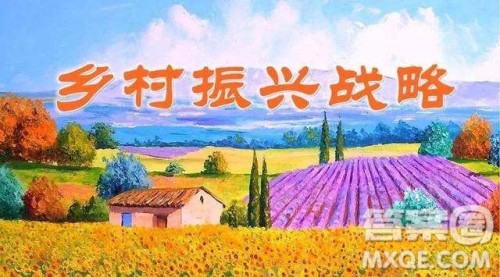 美丽乡村建设在路上作文800字 关于美丽乡村建设在路上作文800字 美丽乡村建设在路上作文800字 关于美丽乡村建设在路上作文800字