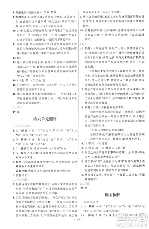 2019春初中同步测控优化设计语文七年级下册人教版参考答案