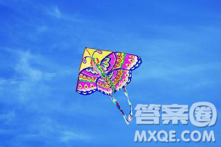 蝴蝶风筝蜜蜂材料作文800字 蝴蝶风筝蜜蜂作文800字