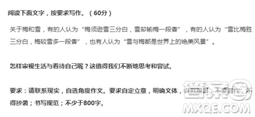 梅和雪作文 关于梅和雪的作文 梅和雪作文 关于梅和雪的作文