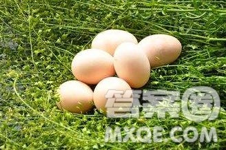 三月三为什么要吃地菜煮鸡蛋 三月三吃地菜煮鸡蛋的原因是什么 三月三为什么要吃地菜煮鸡蛋 三月三吃地菜煮鸡蛋的原因是什么