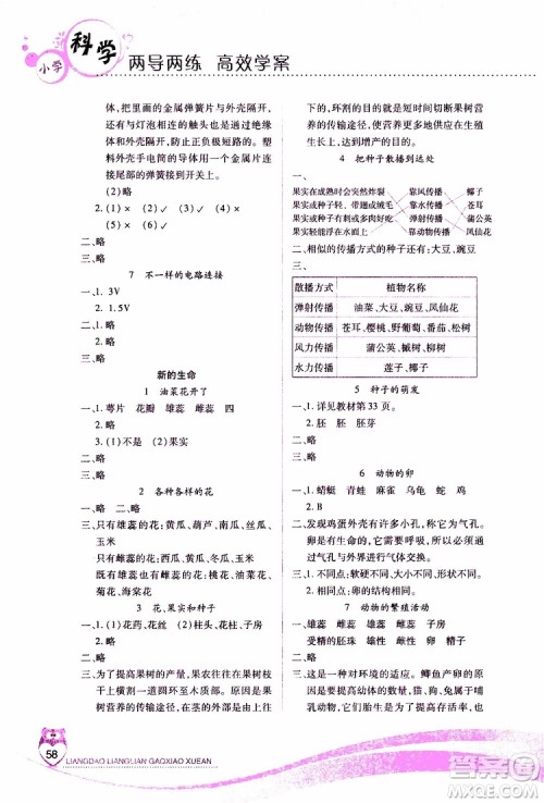 2019年新课标两导两练高效学案四年级科学科教版参考答案 2019年新课标两导两练高效学案四年级科学科教版参考答案
