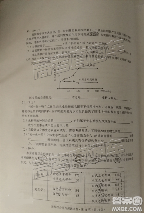 2019年昆明二统理综试题及参考答案 2019年昆明二统理综试题及参考答案
