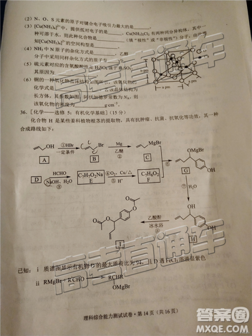 2019年昆明二统理综试题及参考答案