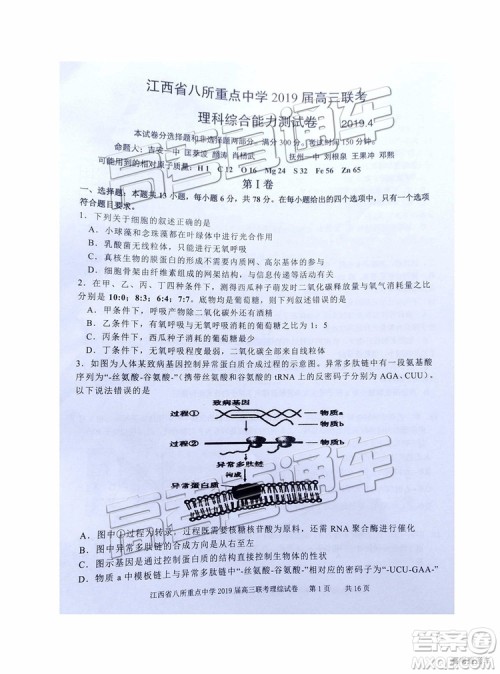 2019年江西八校联考文综理综试题及参考答案 2019年江西八校联考文综理综试题及参考答案