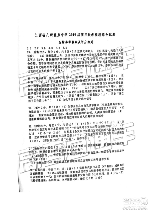 2019年江西八校联考文综理综试题及参考答案 2019年江西八校联考文综理综试题及参考答案