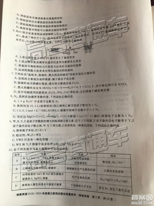 2019年博雅闻道衡水金卷高三第四轮联合质检理综试题及参考答案