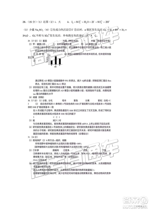 2019年北京朝阳区一模理科综合试题及参考答案 2019年北京朝阳区一模理科综合试题及参考答案