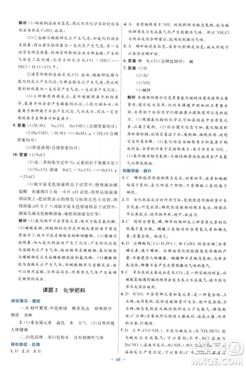 2019初中同步测控优化设计九年级化学下册人教版参考答案