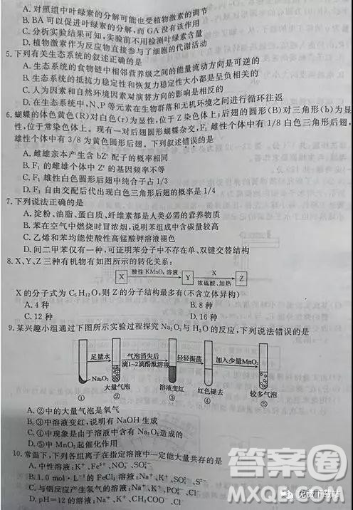 2019年全国百所名校高考模拟调研卷六理综参考答案