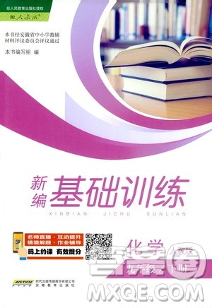 2019春新编基础训练九年级化学下册人教版RJ版参考答案