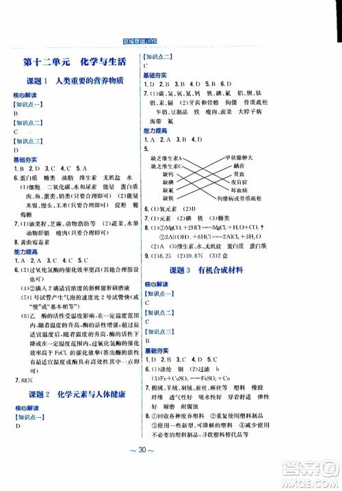 2019春新编基础训练九年级化学下册人教版RJ版参考答案