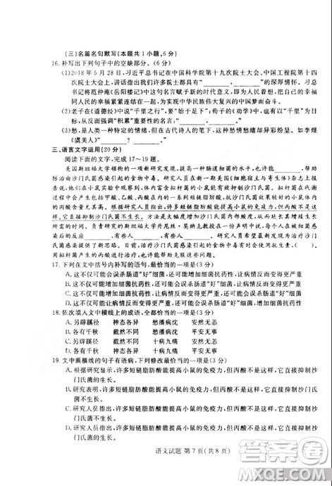 黑龙江省哈尔滨市第三中学2019届高三第二次模拟考试内考语文试题及答案