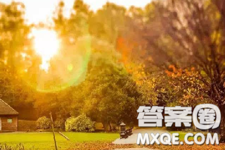 暖如晨曦为题作文600字 以暖如晨曦为题作文 暖如晨曦为题作文600字 以暖如晨曦为题作文