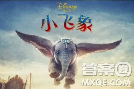 小飞象电影观后感 小飞象观后感300字 小飞象电影观后感 小飞象观后感300字