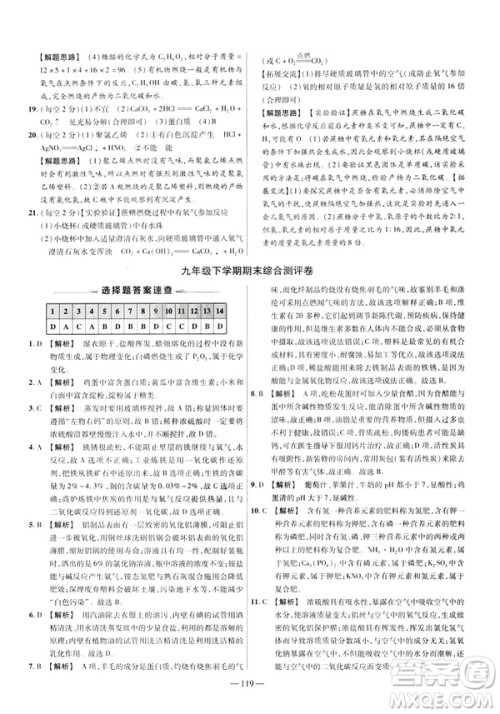 2019版人教版金考卷活页题选九年级下化学RJ名师名题单元双测卷答案