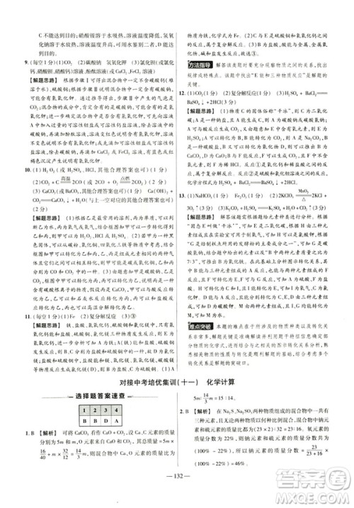 2019版人教版金考卷活页题选九年级下化学RJ名师名题单元双测卷答案