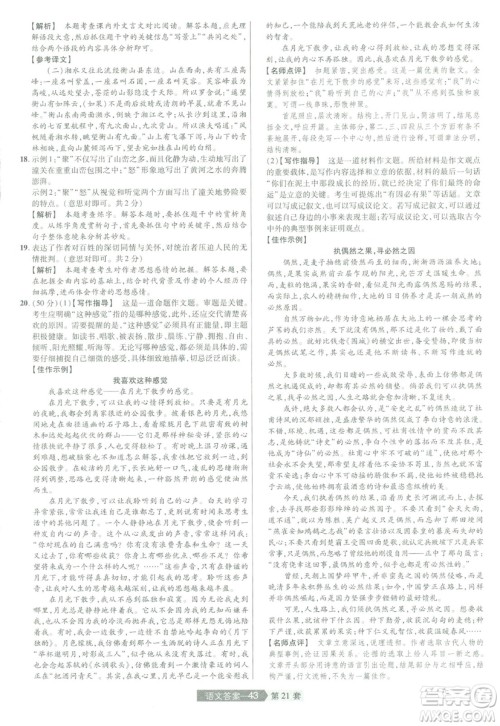 天星中考2019年河南中考45套卷金考卷特快专递语文参考答案 天星中考2019年河南中考45套卷金考卷特快专递语文参考答案