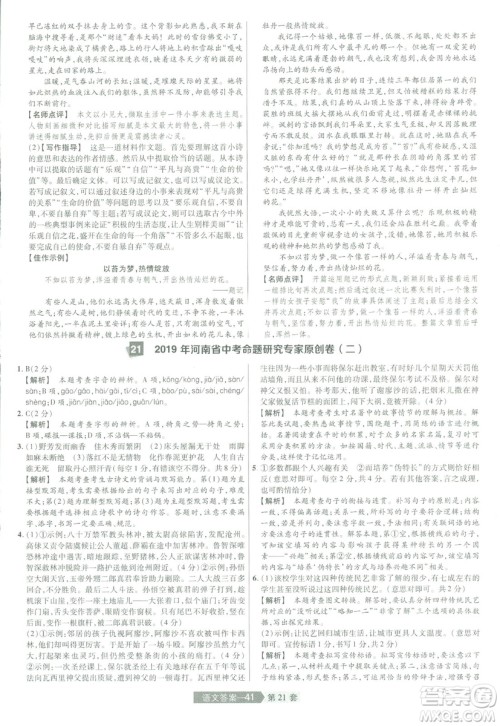 天星中考2019年河南中考45套卷金考卷特快专递语文参考答案