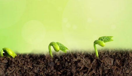 关于成长的作文800字 有关成长的作文 关于成长的作文800字 有关成长的作文