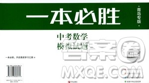 2019年一本必胜中考数学模拟试题银版青岛专版9787543608474参考答案