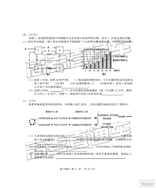 2019年黄山二模理综试题及参考答案