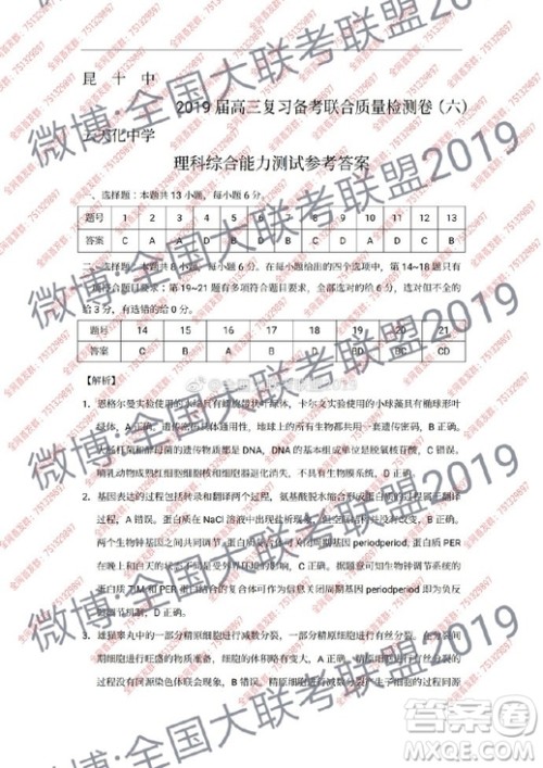 昆十中云天化2019届高三复习备考联合质量检测卷六文理综试卷参考答案 昆十中云天化2019届高三复习备考联合质量检测卷六文理综试卷参考答案