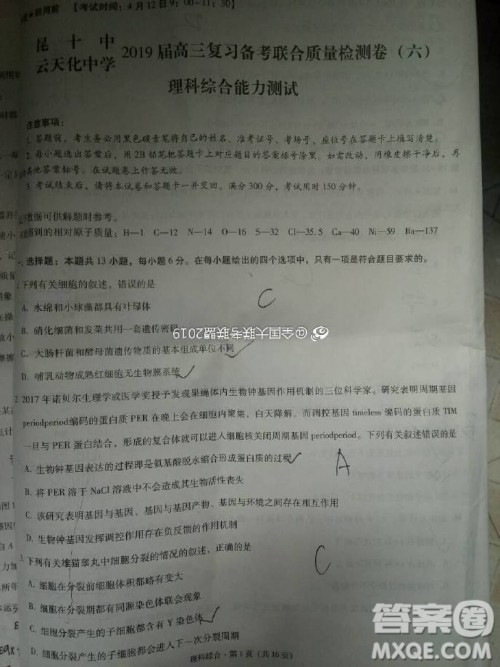 昆十中云天化2019届高三复习备考联合质量检测卷六文理综试卷参考答案 昆十中云天化2019届高三复习备考联合质量检测卷六文理综试卷参考答案