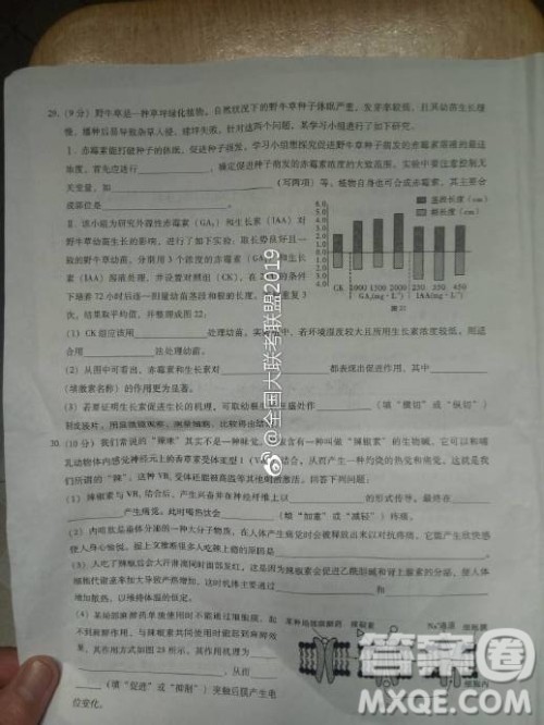 昆十中云天化2019届高三复习备考联合质量检测卷六文理综试卷参考答案 昆十中云天化2019届高三复习备考联合质量检测卷六文理综试卷参考答案
