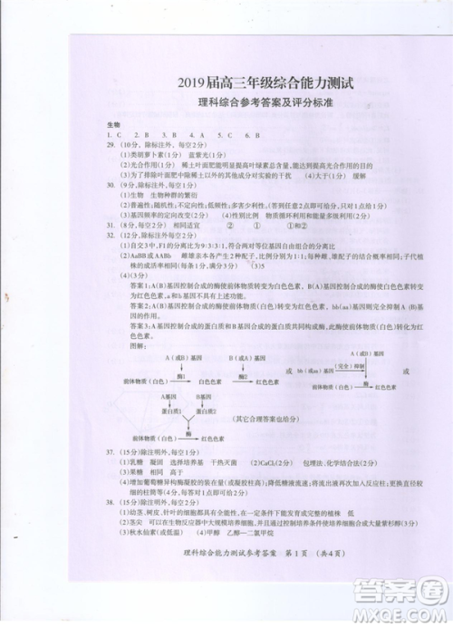 2019年广西桂林一模文理综试卷及答案