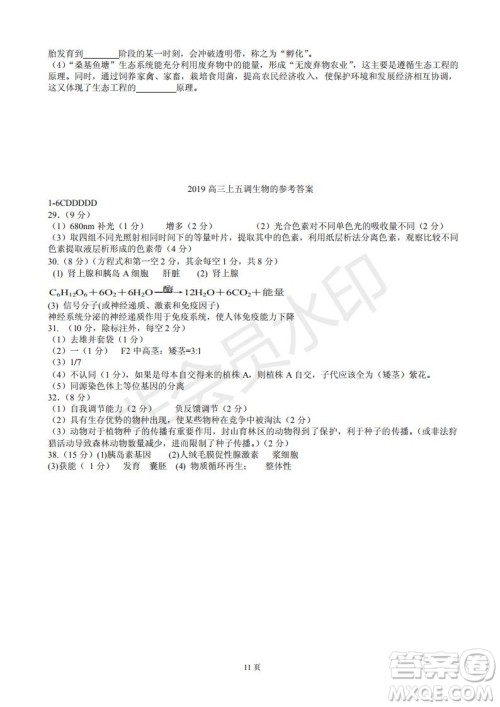 玉溪一中高2019届高三第五次调研考试理科综合试卷及答案