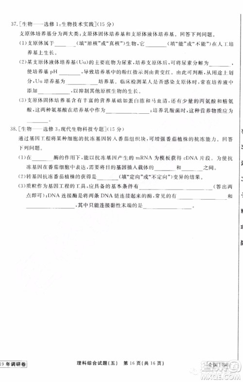 衡中同卷2019年普通高等学校招生全国统一考试模拟试题五理科综合试题及答案