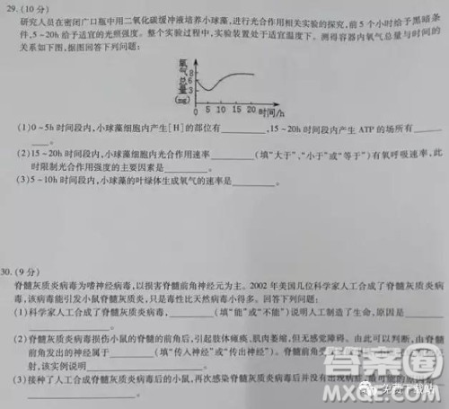 2019年百师联盟全国高三冲刺考二全国Ⅰ卷试题理综试卷及答案 2019年百师联盟全国高三冲刺考二全国Ⅰ卷试题理综试卷及答案