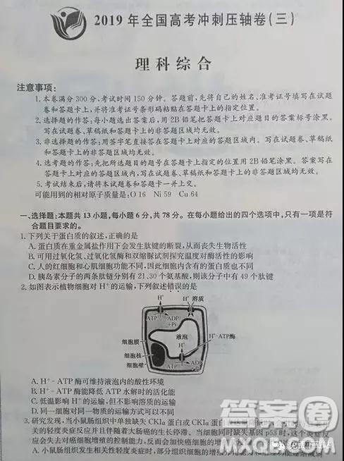 2019年全国高考冲刺压轴卷三理综试卷及参考答案