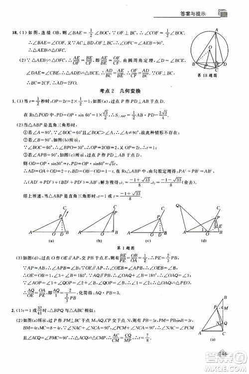 2019年丢分题中考数学9787535199843参考答案