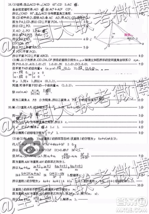2019年4月辽宁金太阳联考高三数学参考答案 2019年4月辽宁金太阳联考高三数学参考答案