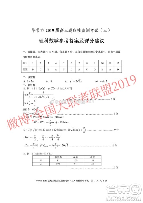 毕节市2019届高三适应性监测考试三文理数参考答案 ​​​​