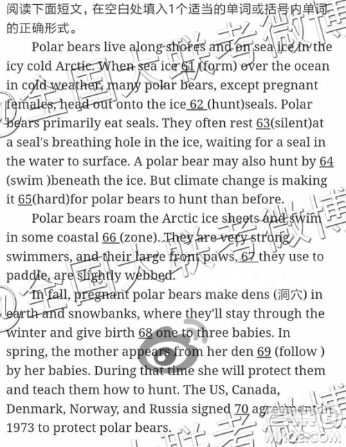 2019年全国普通高中高三四月大联考英语参考答案 2019年全国普通高中高三四月大联考英语参考答案