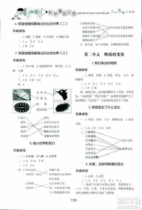 2019年小学基础训练科学六年级下册教科版参考答案 2019年小学基础训练科学六年级下册教科版参考答案
