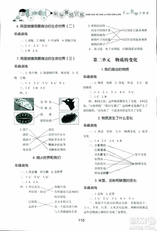 2019年小学基础训练科学六年级下册教科版参考答案