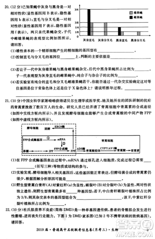 2019年普通高中名校联考信息卷月考三试题文理综答案 2019年普通高中名校联考信息卷月考三试题文理综答案