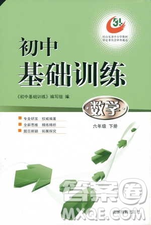 五四制2019年初中基础训练数学六年级下册参考答案