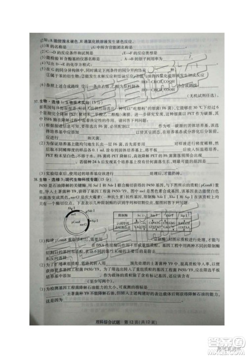 2019年濮阳二模文理综试题及参考答案 2019年濮阳二模文理综试题及参考答案