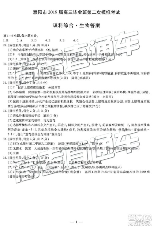 2019年濮阳二模文理综试题及参考答案 2019年濮阳二模文理综试题及参考答案