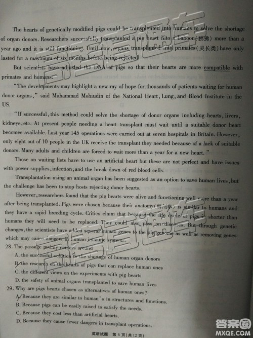 2019年江淮十校第三次联考英语试题及参考答案 2019年江淮十校第三次联考英语试题及参考答案