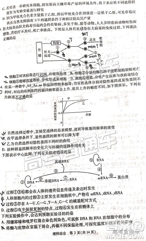 2019年宝鸡三模文理综试题及参考答案
