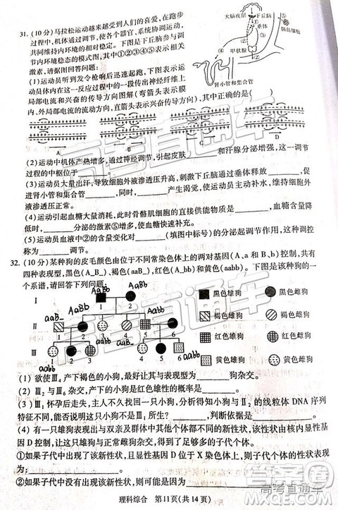 2019年宝鸡三模文理综试题及参考答案